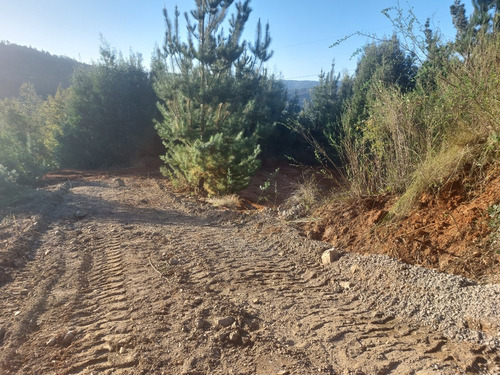 Vendo Parcela 5.100 M2 Laguna Pineda. Concepción