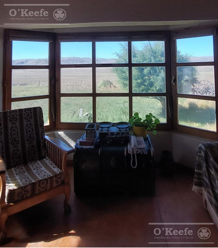Imagen 24 de 30 de Campo En Venta De 14.000 Has En Neuquen Patagonia Argentina - Estancia Ganadera