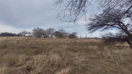 Terreno En Av. San Martín Y Alvear - Ataliva Roca