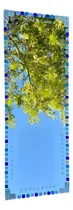 Comprar Espejo Decorativo Rectangular Largo Con Venecitas