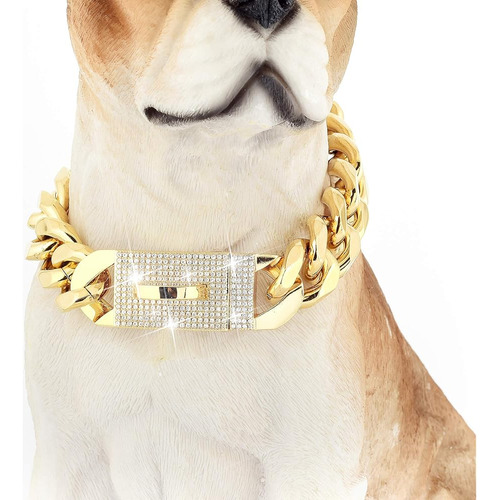 Bmusdog Collar Para Perros De Cadena De Oro Con Bling Bling 