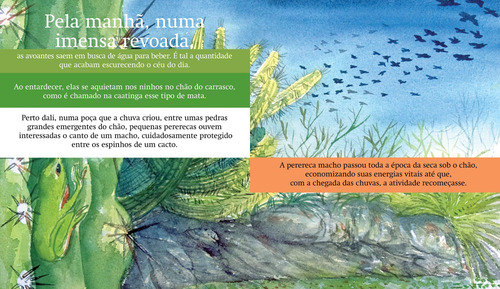 A caatinga, de Matuck, Rubens. Ciências da Natureza - Natureza Brasileira Editorial Editora Biruta Ltda., capa mole em português, 2010