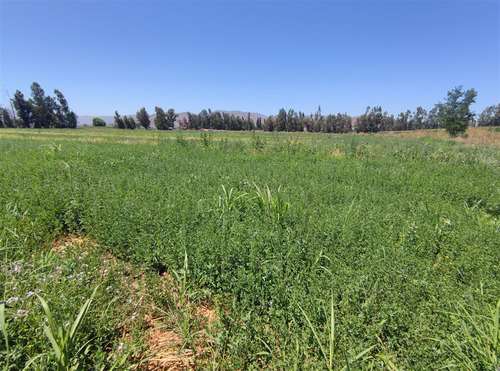 Terrenos Agrícolas Con Agua Venta María Pinto Curacavi