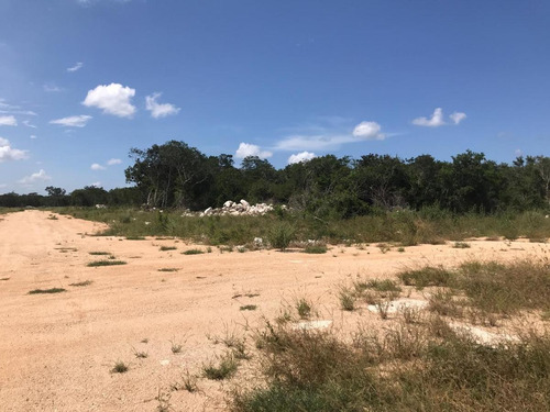 Imagen 4 de 6 de Terreno En Venta En Mérida 2 Hac Exelente Inversion A Corto Plazo - Carretera Mérida Progreso
