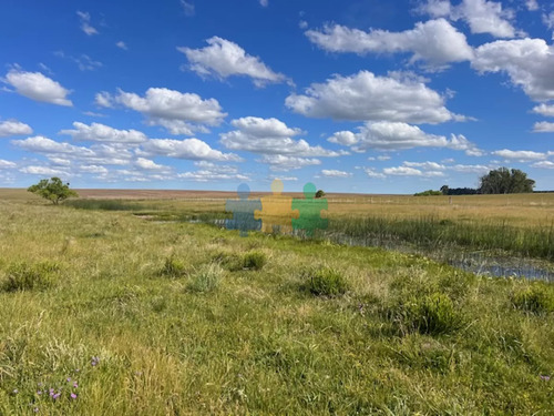 Campo En Durazno, 687 Hectáreas En Venta - Ref : Eqp6831