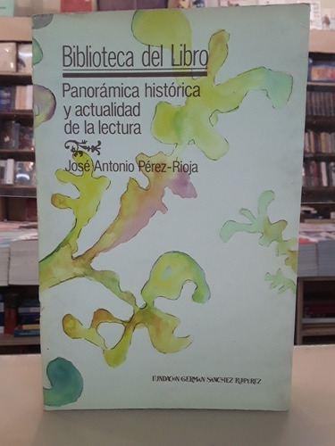 Panorámica Historica Y Actualidad De La Lectura  Perez Rioja