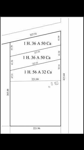 Imagen 5 de 5 de En Venta Lotes De 10.000m2 En Mercedes. Zona De Quintas