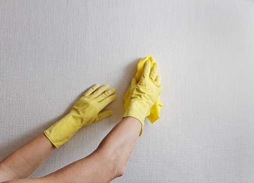 Humedad En Paredes Revestimiento Fibra Vidrio Gavatex A6 M2