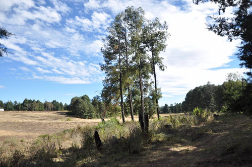 Imagen 4 de 12 de Amplio Rancho: Privado, Verde Y Fértil