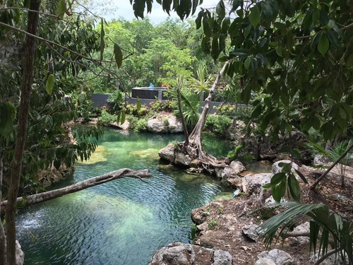 Imagen 21 de 21 de Hermosa Casa En Venta En Bosques De Bambú Playa Del Carmen P3024
