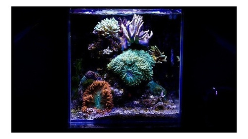Pecera Cubo 30 Cm Mainar - Plantado Nano Reef
