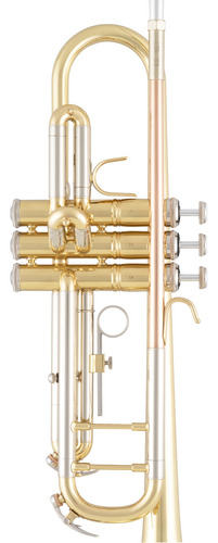 Trompeta Selmer Bach Btr201 - Con Estuche Y Accesorios