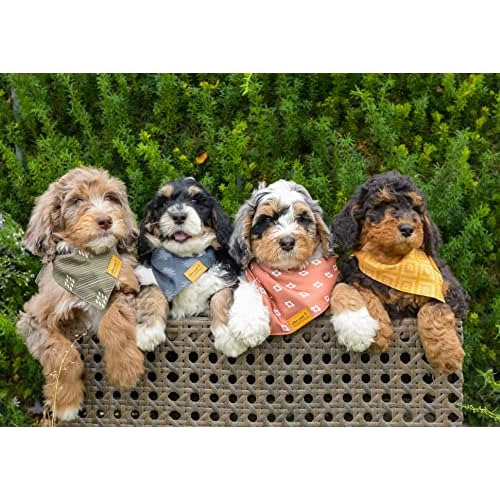 Pañuelo Perros Y Cachorros (conjunto De 4) | Estilo Oc...