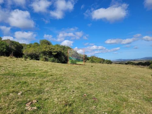 Imagen 2 de 22 de Campo Turístico 145hás En Zona De Pan De Azúcar