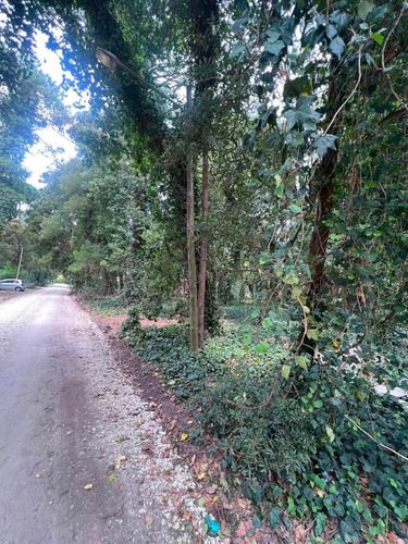 Imagen 10 de 11 de Vendo Lote 750 Mts Bosque P. Ramos Parquizado U$s 55.000.-