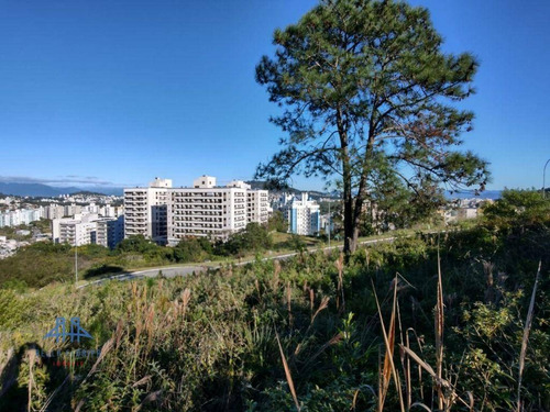 Imagem 3 de 19 de Terreno À Venda, 450 M² Por R$ 787.000,00 - Itacorubi - Florianópolis/sc - Te0280