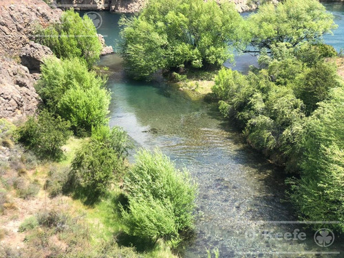 Imagen 19 de 30 de Campo En Venta En Rio Negro - Exclusivo Sobre El Rio Limay. Ideal Flyfishing!