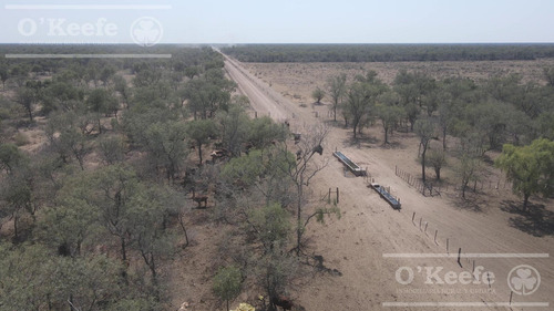 Campo En Venta 4100 Has.santiago Del Estero.apto Bonos Verde