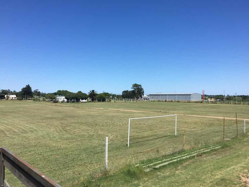 Asamblea Propiedades Complejo Deportivo 6 Canchas