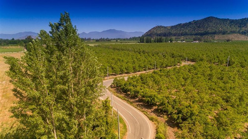 Parcelas En Venta En Requínoa, Camino El Trigal