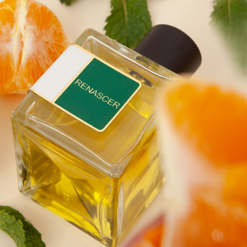 Perfume Renascer 50ml - Par Fun