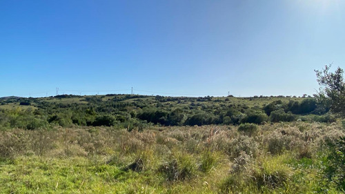 Imagen 3 de 30 de Se Vende Campo De 77 Has En Maldonado. A Pocos Km De Aiguá En Zona De Ruta 39. Ubicación Privilegiada!