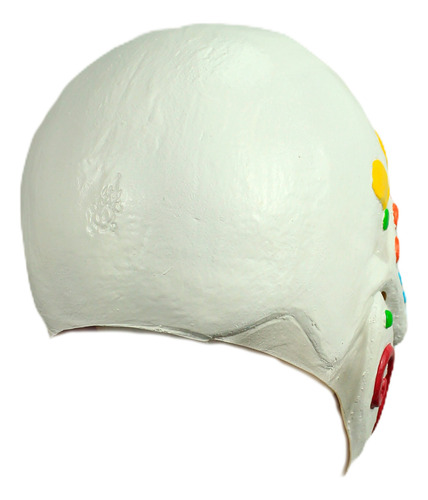 Máscara Calavera De Azucar Multicolor Halloween
