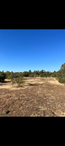 Se Vende Parcela De 5200 Mts2, Camino A Huencuecho,