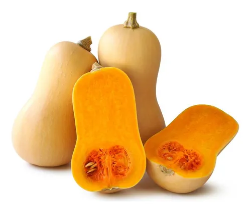 Semillas De Zapallo Calabaza X 20 Unid.