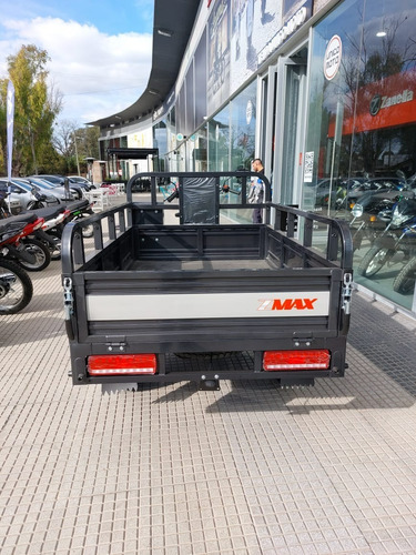 Imagen 6 de 17 de Zanella Tricargo Zmax 200 - Unico Moto Canning