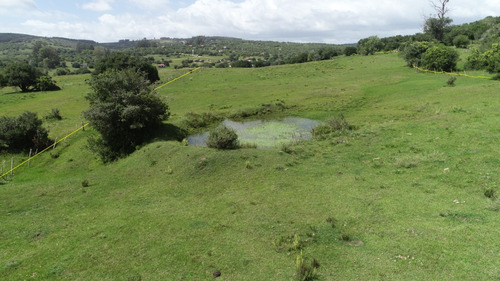 Imagen 9 de 13 de 38 Hectareas A La Venta En El Corazón De Villa Serrana - Zona Represa / Las Cumbres