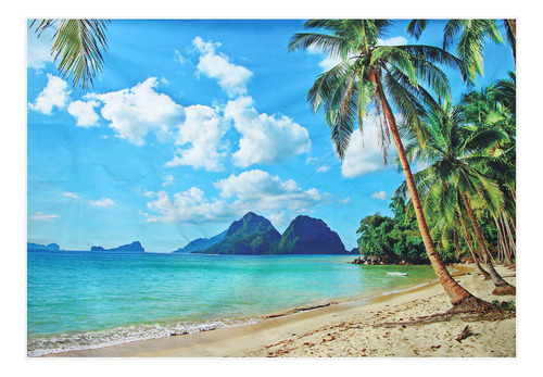 Fotografía Tropical De Verano Con Telón De Fondo De Playa