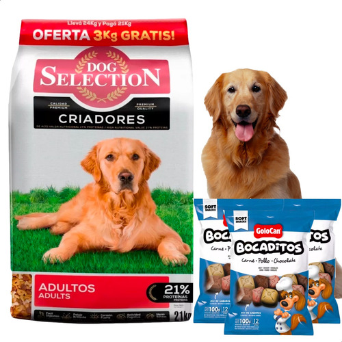 Alimento Dog Selection Perro Adulto 24kg + Bocaditos Golocan