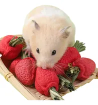 Comprar Mordedores Para Hamster,jerbo Roedores Conejos ( 3 Unidades)