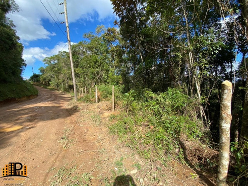 Imagem 3 de 18 de Chácara À Venda 2.749,43m2 Estrada Da Barrinha - São Lourenço/sp - Ch07782 - 69485090