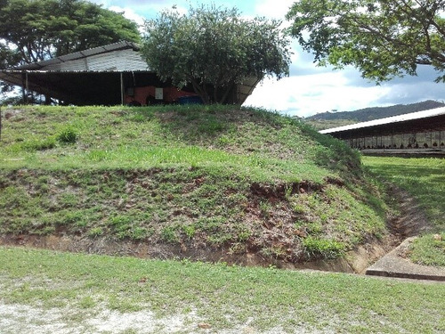 Granja Avicola Ganadera Minera Tinaquillo, Negociable