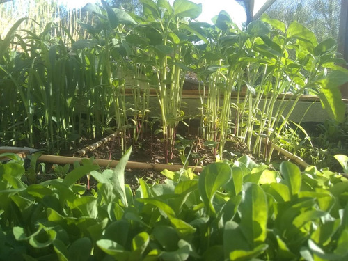 8has En Venta Para Emprendimiento En Cerrito Blanco San Luis