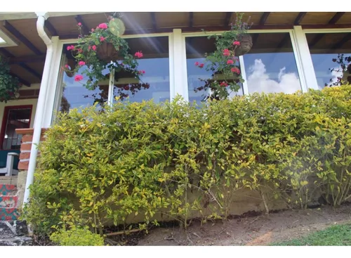 Finca En Venta En Guarne