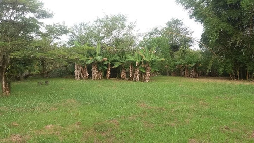 Imagem 11 de 30 de Chácara À Venda Na Ponta Da Pita, Por R$ 400.000 - Antonina/pr - Ch0145