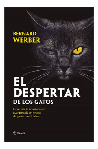 Libro Fisico El Despertar De Los Gatos Bernard Werber