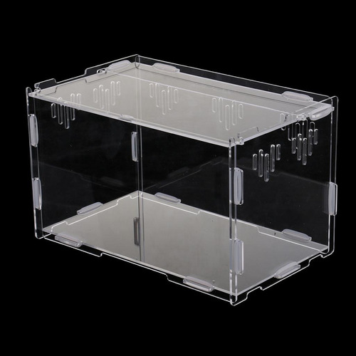 M Recipiente Para Terrarios De Reptiles S