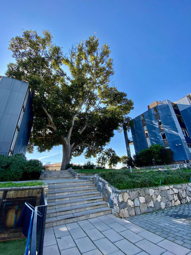 Moderno Duplex 2/d2/b Cerro Alegre, Valpo