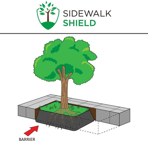 Barrera Para Raíces De Árbol