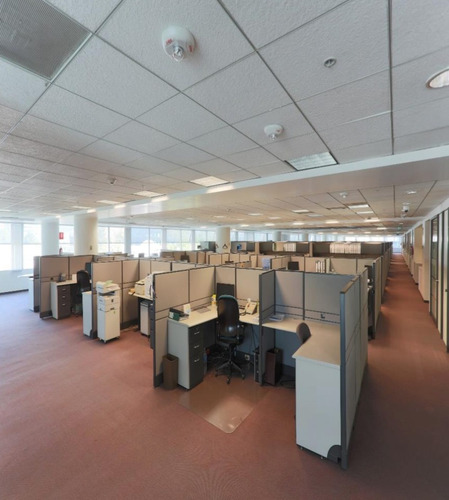 Imagen 4 de 9 de Amplias Oficinas En Renta En Lomas Virreyes