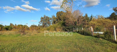 En Venta Terreno En Tapalque