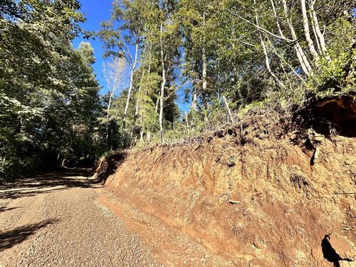 Terreno En Arique Ruta A Valdivia (133760)
