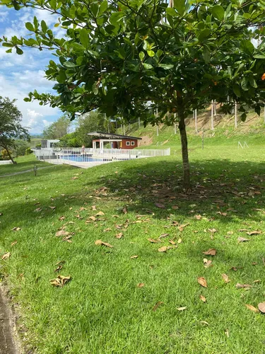 El Mejor Lugar Para Relajarse. Temperadero Con Cabaña