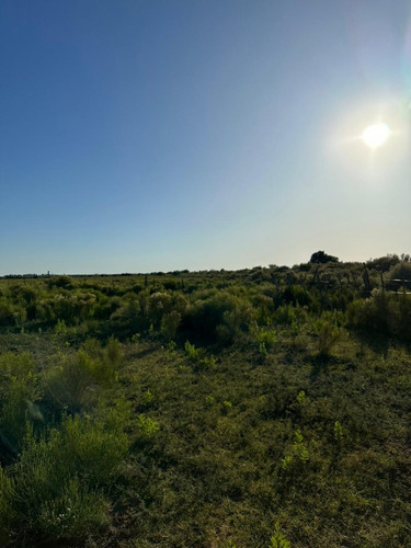 Imagen 6 de 17 de Vendo Campo De 300ha, San Rafael, Mendoza