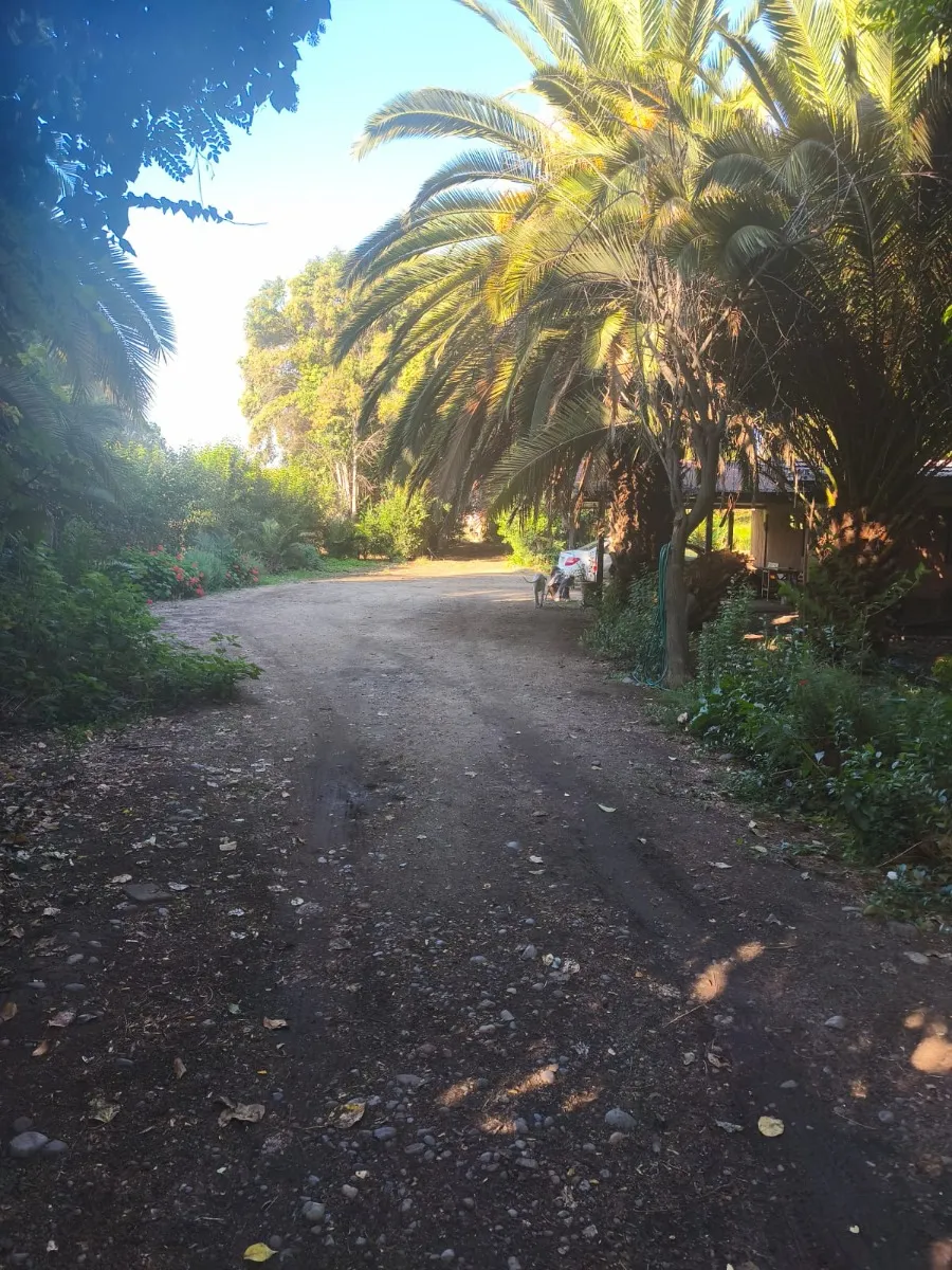 Imagen 3 de 30 de Casa En Pequeña Parcela, Jardín Formado, Talagante