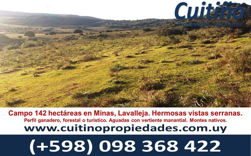 Imagen 3 de 30 de Campo 142 Hectareas Ganadero Forestal Lavalleja